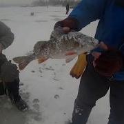 Рыбалка Зимняя Владимир Кузнецов