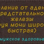 Настрой Сытина Исцеление От Аденомы Предстательной Железы Струя Мочи