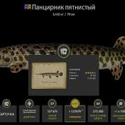 Фармацевт 2
