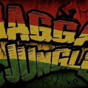 Ragga Jungle Mix