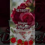 Видео Доброе Утро Четверг