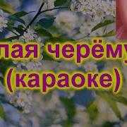 Распустилась Черемуха Караоки