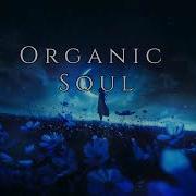 Mirain Organic Soul Ep 2 Organic House Dj Mix