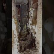 Как Избавиться От Плесени В Подвале