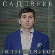 Скажешь Да Тимур Темиров