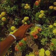 Tyler The Creator Peach Fuzz