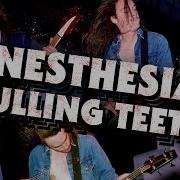 Metallica Anesthesia Pulling Teeth