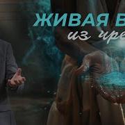 Проповедь Исцеление