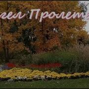Супер Красивая Проникающая В Душу Музыка Очарует Любого