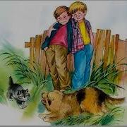 Плохо Осеева