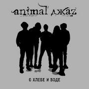 Animal Джаz О Хлебе И Воде Guitar Version