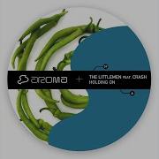 Holding On Feat Crash The Littlemen