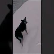 Пошел Отсюда Очкошник