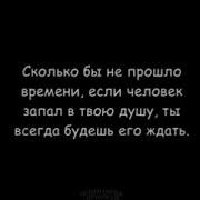 Шон Мс Насиба Баргашт 2