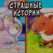 Асмр Истории