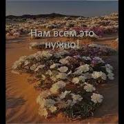 Аве Мария На Русском Скачать