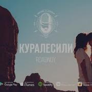 Куралесили Roadnoy