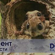 Момент Doc Планета