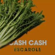 Cash Cash Escarole