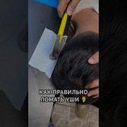 Сломать Уши