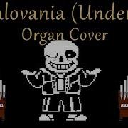Megalovania Cover Organ