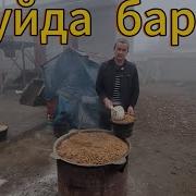 Куй Бокиш Сирлари