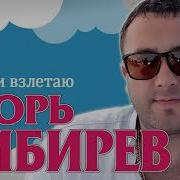 Кибирев Игорь Падаю И Взлетаю 2019
