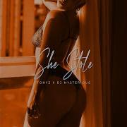 She Stole Tony Z Dj Mysterious Dim Dim Dj Lee Ross