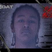 Digdat Intro