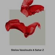 Sahar Z Stelios Vassiloudis