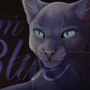 Коты Воители Синяя Звезда I M Blue