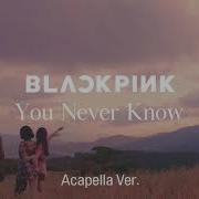 Blackpink Acapella You Never Know