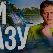 Подводная Охота Видио