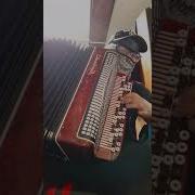 Мобильник На Баяне