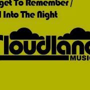 Forget To Remember Andy Woldman