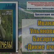 Басаргин Дикие Пчелы