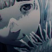 Oyasumi Amv
