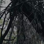 Бальмонт Крик Часового