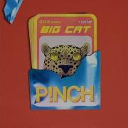 Girli Big Cat