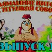 Уроки Тётушки Совы Домашние Питомцы