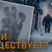 Снежный Человек Факт Ы