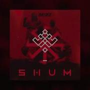 Go A Shum Remix