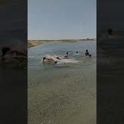 Жаркамыс