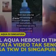 Vidio Tkw Viral Di Toilet