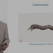 Мелодия Под Игру Сороконожка