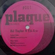 Dj Taylor Flow Work