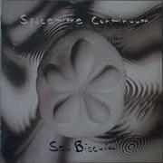 Spacetime Continuum Sea Biscuit Full Album