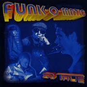 Funk O Matic It S Your Fault