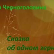 Сказка Об Одном Зернышке