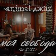 Animal Джаz Моя Свобода